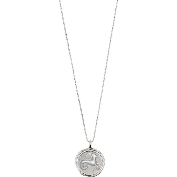 Star Sign Necklace: Capricorn