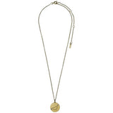 Star Sign Necklace, Capricorn