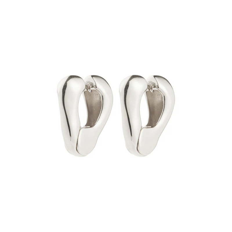 Free Huggie Earring