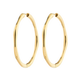 Haze Hoops
