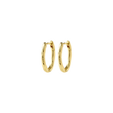 Now Hoop Earrings