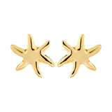 Prism Earrings
