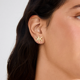 Prism Earrings