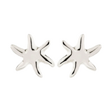 Prism Earrings