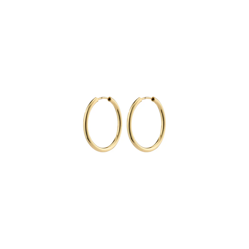 April Small Hoop Earrings