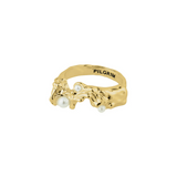 Raelynn Recycled Ring