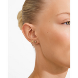 Misha 2-in-1 Earrings