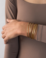 Dane Bangle Set of 5