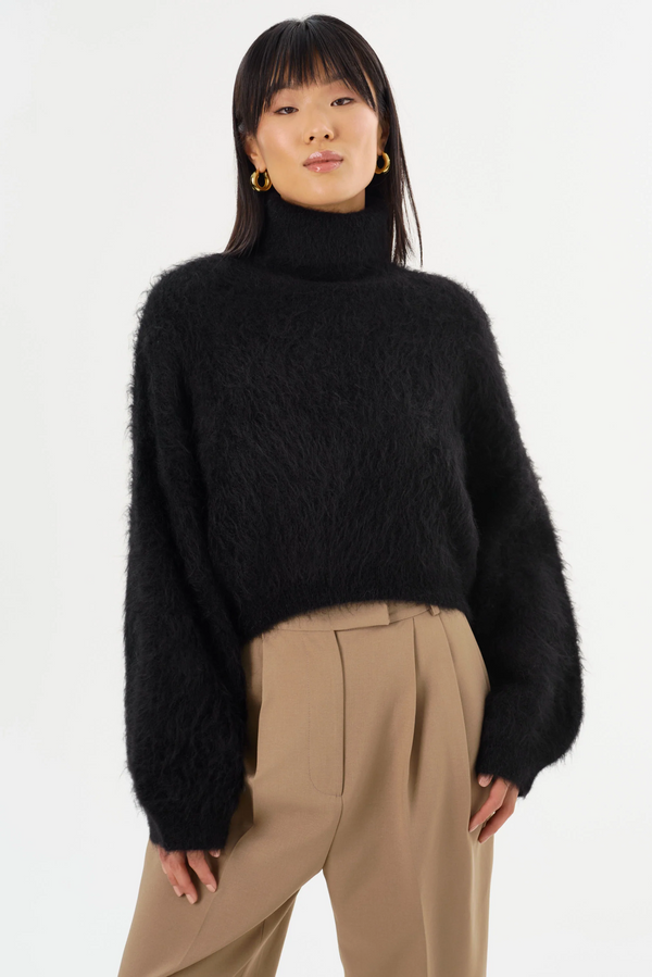 Garcelle Wool Turtleneck