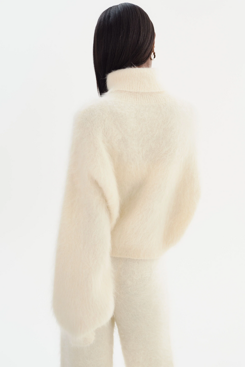 Garcelle Wool Turtleneck