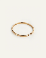 Remi Bangle