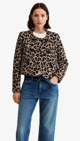 Collarless DB Mini Jacket