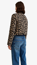 Collarless DB Mini Jacket