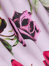 Seridie SIlk Slip Dress