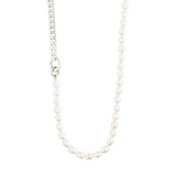 Precious curb chain & freshwater pearl necklace