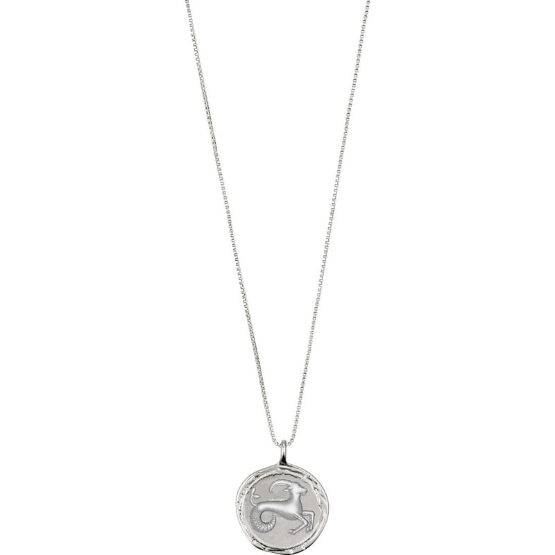 Star Sign Necklace: Capricorn