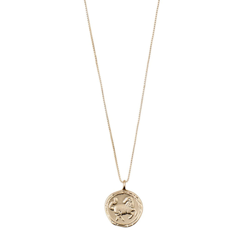 Star Sign Necklace: Aries