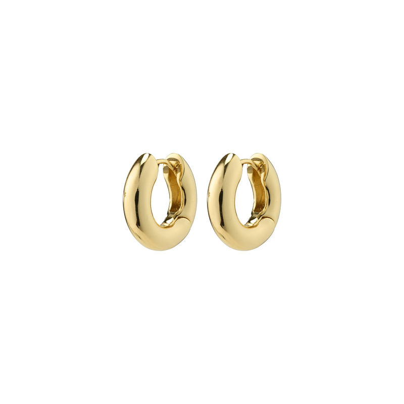 Aica Chunky Hoop Earrings